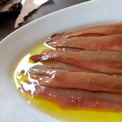 anchoas terrabonita