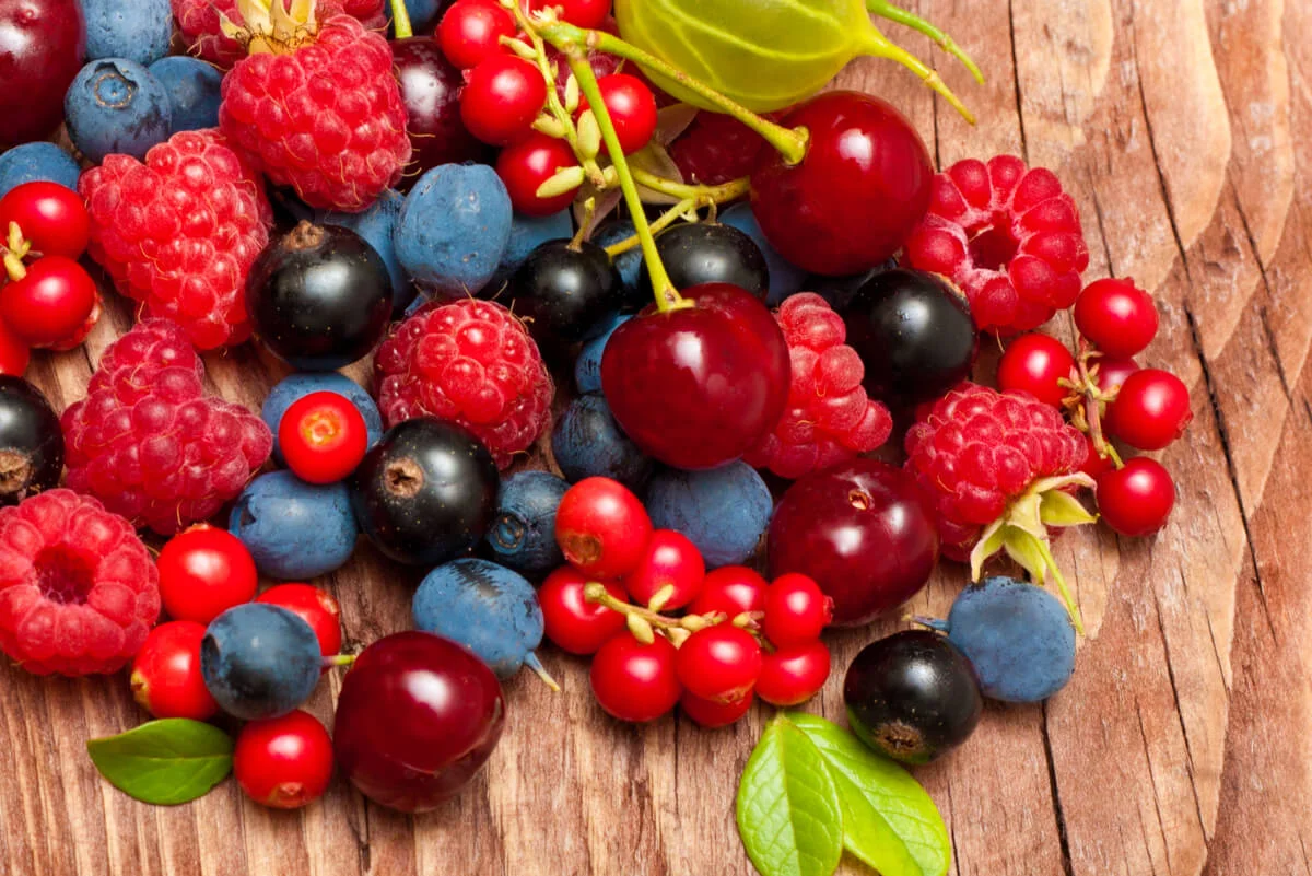 frutos rojos terrabonita